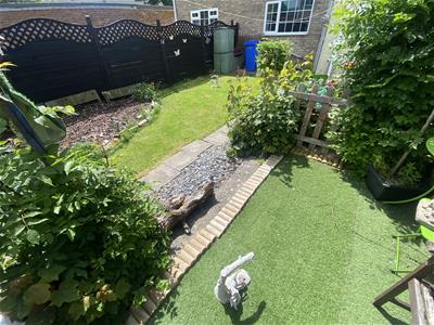Picture 11